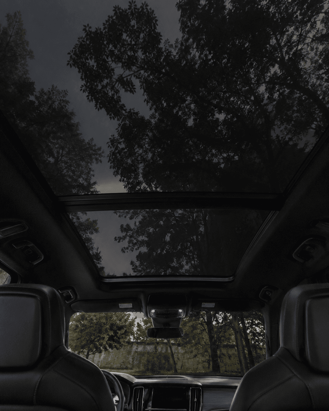 Black Crystal · Cabin View